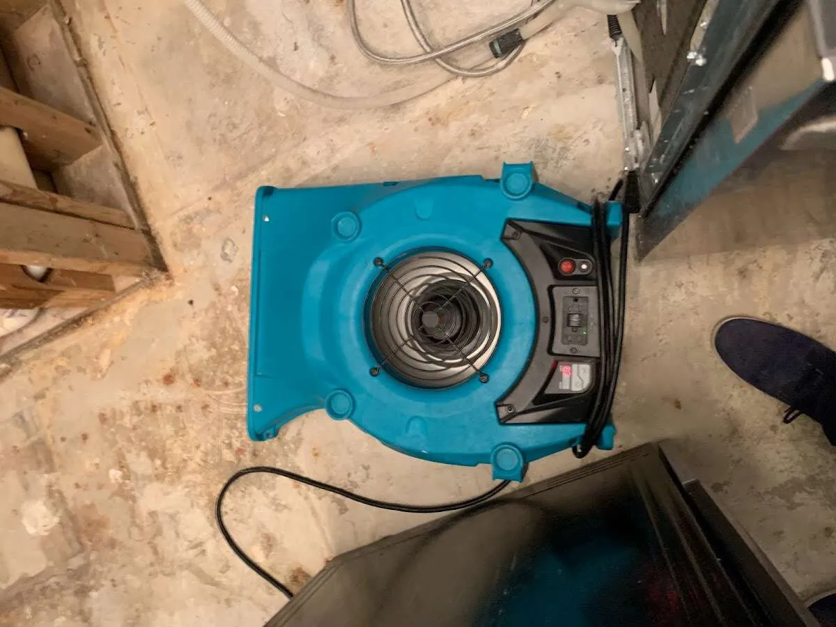 Air mover drying equipment for Mold Remediation & Removal in Belle Haven