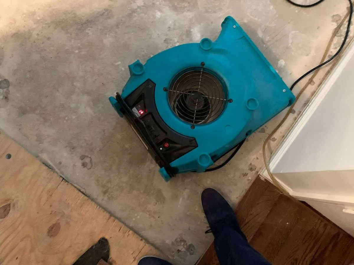 Air mover drying subfloor during Commercial Water Damage Restoration in Belle Haven
